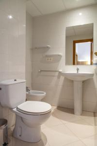 A bathroom at Hotel Boltaña Ordesa