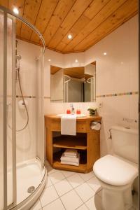 サン・ジャン・ド・シックスにあるAEC Vacances - Forgeassoudのバスルーム(シャワー、洗面台、トイレ付)