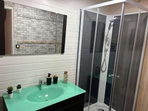 a bathroom with a sink and a glass shower at Maison ville haute Bar le Duc in Bar-le-Duc