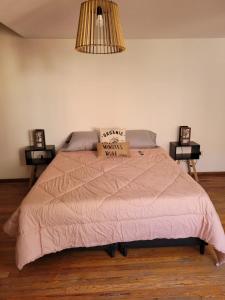 um quarto com uma cama com um edredão rosa em Casa Oliva B & B em Mendoza