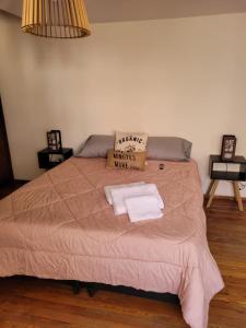 um quarto com uma cama com duas toalhas em Casa Oliva B & B em Mendoza