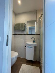 a bathroom with a sink and a toilet and a mirror at City Apartment Bad Säckingen mit Parkplatz in Bad Säckingen