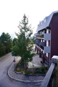 un árbol al lado de un edificio con un árbol al lado en Il Rifugio da Aldo - Rivisondoli en Rivisondoli