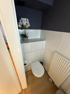 Baño pequeño con aseo y jarrón de flores en Goslar LIVING 1 - direkt am Weihnachtsmarkt, en Goslar 17 fotos más