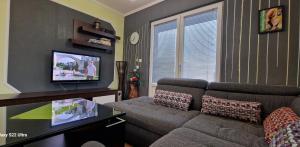 圖茲拉的住宿－Apartman PanoramaTz，带沙发和平面电视的客厅