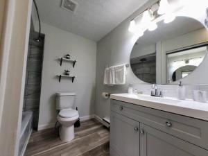 a bathroom with a toilet and a sink and a mirror at Newly Renovated Unit By The Football Hall Of Fame in Canton