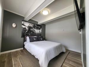 1 dormitorio con 1 cama blanca y TV en Newly Renovated Unit By The Football Hall Of Fame, en Canton