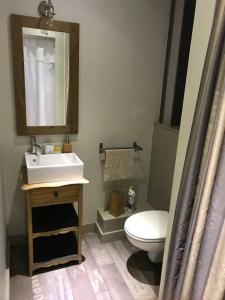 a bathroom with a toilet and a sink and a mirror at Petite maison Liégeoise «la cabane de Liège» in Liège +9 photos