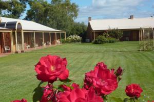 a house with red flowers in front of a yard at Coonawarra Units in Coonawarra