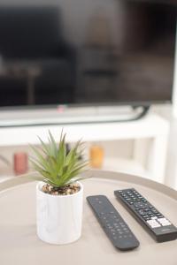 una planta en una olla junto a dos controles remotos en Studio l'Annexe - Arles Centre, climatisé, en Arles