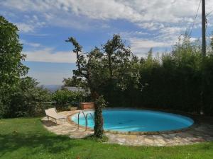 une petite piscine avec un arbre dans une cour dans l'établissement Villa Campo, à Chianni