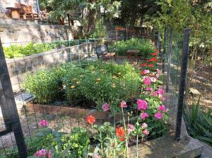 een tuin met kleurrijke bloemen in een hek bij Casa dei Faggi in Tolfa