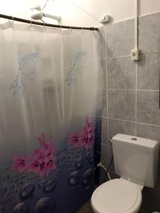 a bathroom with a shower curtain with a toilet at Cantinho da mery 1 in Maragogi