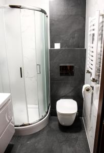 uma casa de banho com um WC e uma cabina de duche em vidro. em Hotel Regina em Radom