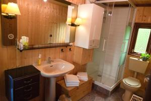 a bathroom with a sink and a shower and a toilet at Kammbaude Neuhermsdorf in Neuhermsdorf +37 photos