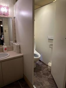 a bathroom with a toilet and a sink and a mirror at Guest House Tosa Otesujihana - Vacation STAY 14359 in Kochi