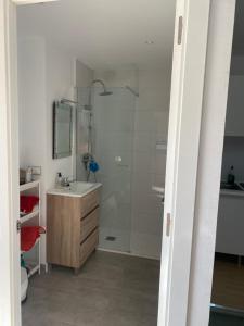 W łazience znajduje się prysznic i umywalka. w obiekcie LOFT CAL XURIGUER w mieście Font-Rubí