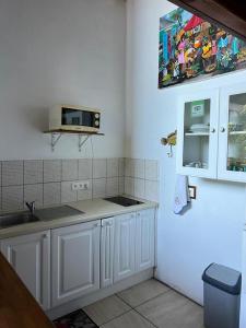 a kitchen with a sink and a microwave at Le Neem in Saint-François