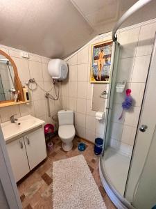 a bathroom with a shower and a toilet and a sink at Piekalne in Kalnieši