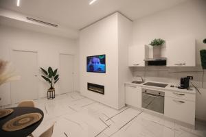 Kuchyň nebo kuchyňský kout v ubytování 50 m2 Apartment