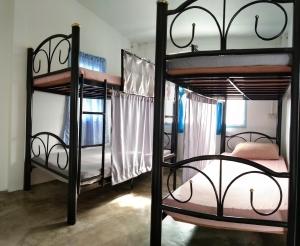 The Dreamcatcher or Samui sunset Hostel في Nathon: مجموعتين من الأسرّة ذات الطابقين في الغرفة