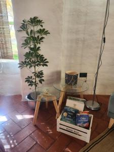 une chambre avec une table et une plante en pot dans l'établissement Cabaña Pimientos, à San Pedro de Atacama