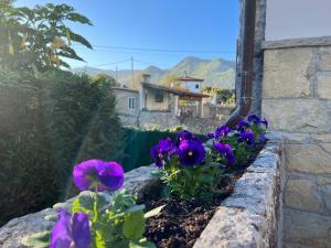 a row of purple flowers in a stone wall at D´Eloisa in Balmori