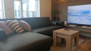 sala de estar con sofá y TV de pantalla plana en Ocean View Suite near Sky Lagoon, en Reikiavik