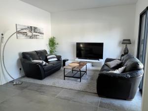 Μια τηλεόραση ή/και κέντρο ψυχαγωγίας στο Salles, Maison à 30 min d'Arcachon