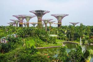 uma vista para um jardim com árvores e um rio em 1BR Marvelous apartment in Singapore! em Singapura