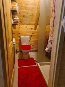 DanilovgradにあるEko katun Miracのバスルーム(トイレ付)、赤い敷物が備わります。 +38枚の写真