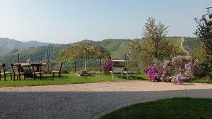 Príroda v okolí of the country house