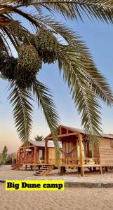 a log cabin on the beach with a palm tree at Big Dune camp in Nuweiba