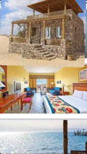Φωτογραφία από το άλμπουμ του Big Dune camp σε Nuweiba +26 φωτογραφίες