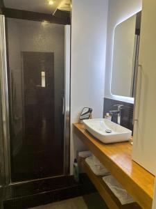 a bathroom with a shower and a sink at Appartement central in Toulouse