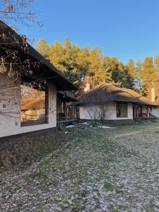 a house with a thatched roof and a yard at Secret Resort Club in Pereiaslav-Khmelnytskyi