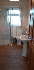 a bathroom with a toilet and a sink and a shower at Maggie's House in Glenties