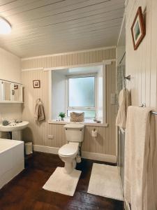 a bathroom with a toilet and a sink and a window at South Lochs Cottage in Marvig