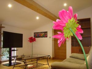 une fleur rose dans un salon avec un canapé dans l'établissement Maison d'Eon, à Salon-de-Provence