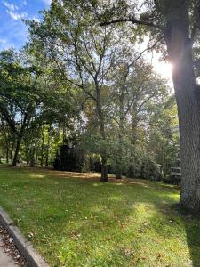 un parque con árboles y césped con el sol brillando en Écrin de verdure au Chesnay et parking gratuit, en Le Chesnay
