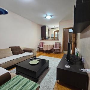 ein Wohnzimmer mit einem Sofa und einem Tisch in der Unterkunft Sunshine Apartment Podgorica in Podgorica