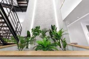 a row of plants in a room with a white brick wall at 44 Renshaw Apart Hotel in Liverpool +110 photos