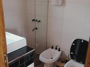 a bathroom with a toilet and a sink at RevolucionArte Potrerillos in Ciudad Lujan de Cuyo