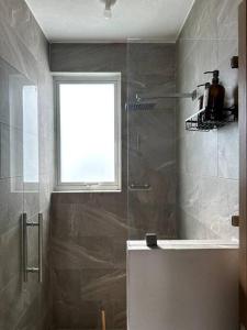 uma casa de banho com um chuveiro, um lavatório e uma janela em ¡Date un break del estrés! em Oaxtepec