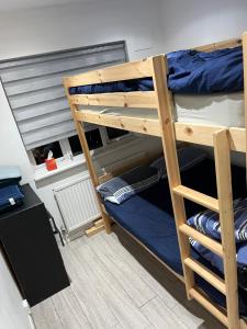 Ce lit superposé se trouve dans un dortoir doté de lits bleus. dans l'établissement Just Plan B Homes, à Forest Hill