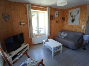 Una sala de estar con un sofá y un televisor. en Le doux refuge, en Le Mont-Dore