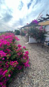einen Garten mit rosa Blumen, Tischen und Stühlen in der Unterkunft Santerra, Valle de Guadalupe in Valle de Guadalupe