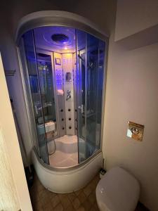 a bathroom with a shower with a toilet in it at Apartament Zloty Pociag in Wałbrzych