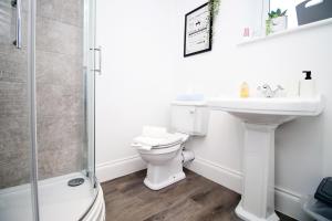 a bathroom with a toilet and a sink and a shower at Casa di pietra - Cardiff City centre apartment with patio, Free private parking in Cardiff
