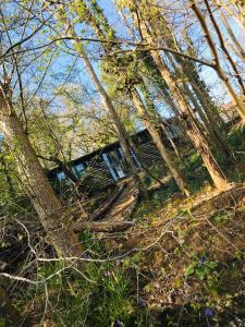 a house sitting on top of a hill with trees at Redhill Lodge in Farnham